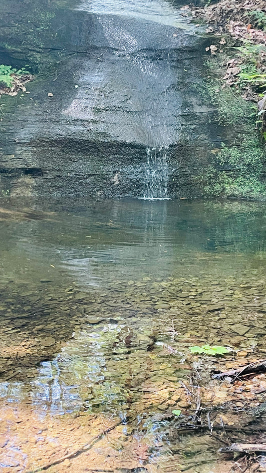 🌿🌞 Embrace the Great Outdoors this Self-Care Saturday! 🌳🌼